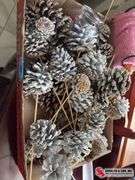 Pine cones and a candle