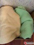 Two standard size, blankets, yellow, and