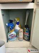 Bathroom cleaning supplies