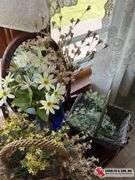 Artificial flowers and baskets
