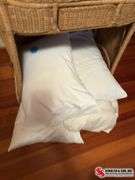 Pillows   Clean and smell good