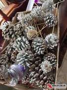 Pine cones and a candle