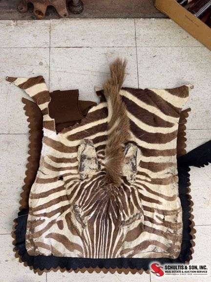 Zebra head skin