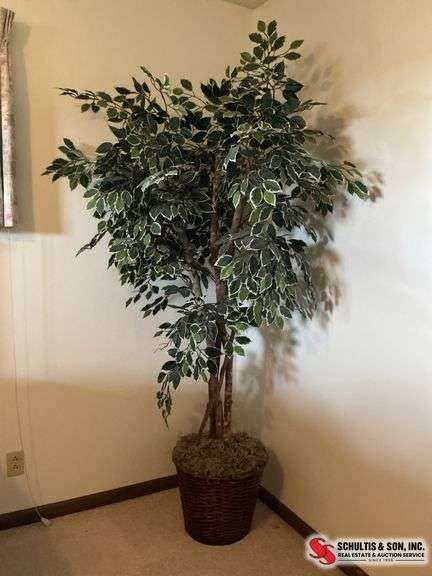 Artificial Ficus Tree