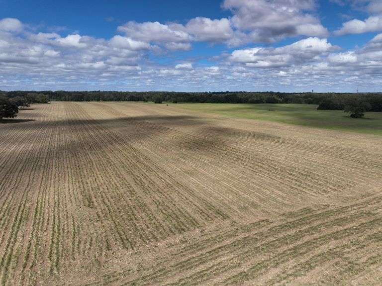 32.8± Acres, Columbia Co., FL