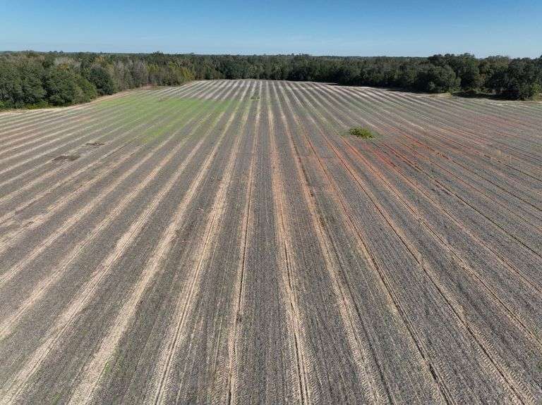 Lot 2: 368.7± Acres of Farmland and Timberland