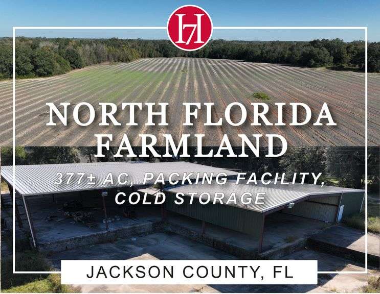 Auction | 377 Acres, North Florida Farmland and Packing Facility Offered Divided