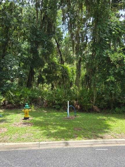 Vacant Residential Lot: St Marys, GA