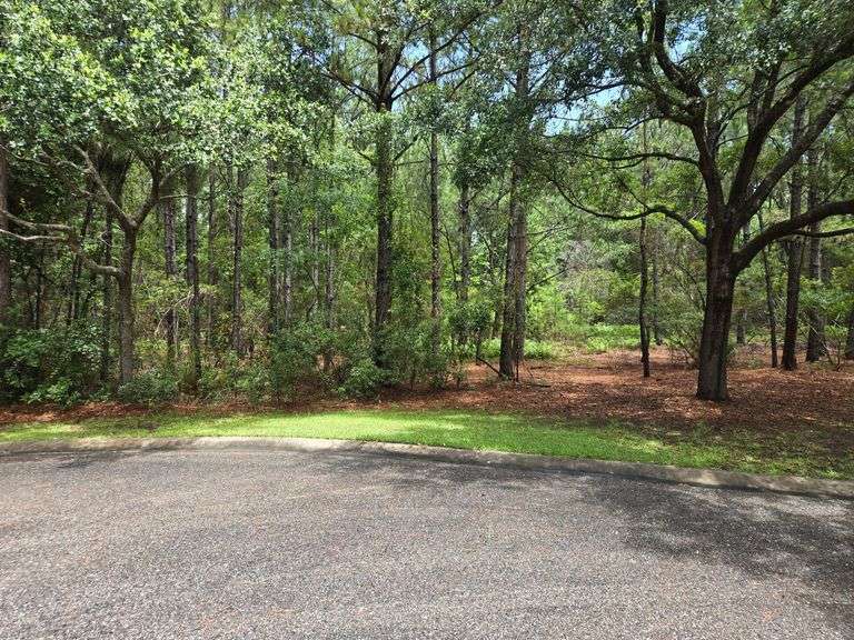 Vacant Residential Lot: St Marys, GA