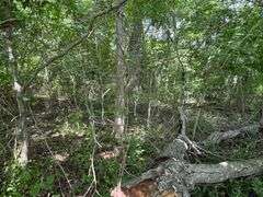Vacant Commercial Lot: Old Bridge, NJ