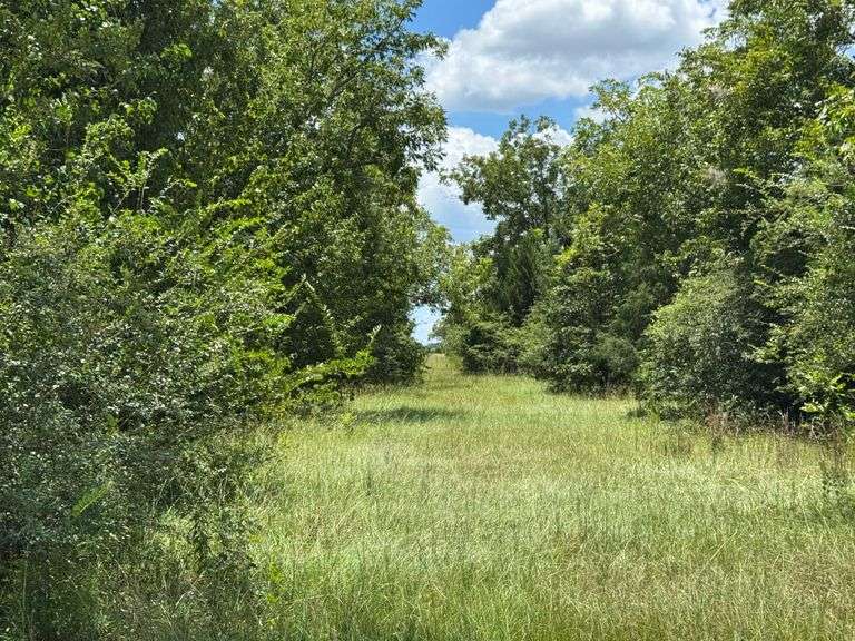 Commercial Parcel 3: 4± Acres