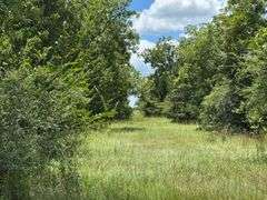 Commercial Parcel 3: 4± Acres