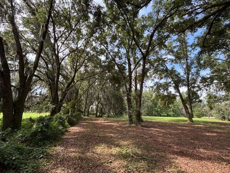 20 Acres of Agricultural land w/ Mobile Home: Levy County, FL