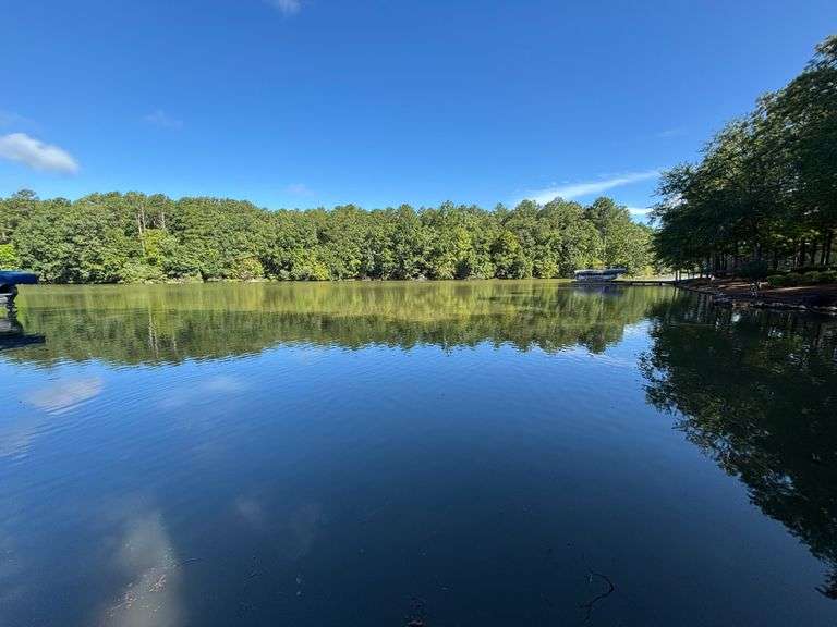 Vacant Residential Lot (Lake Oconee): White Plains, GA