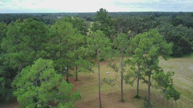 20 Acres of Agricultural land w/ Mobile Home: Levy County, FL