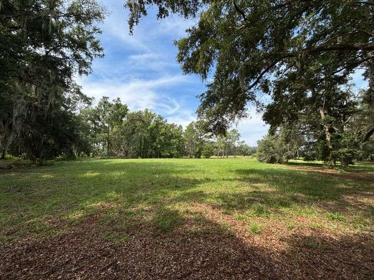 20 Acres of Agricultural land w/ Mobile Home: Levy County, FL