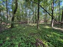Vacant Residential Lot (Lake Oconee): White Plains, GA