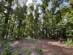 20 Acres of Agricultural land w/ Mobile Home: Levy County, FL