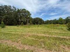 20 Acres of Agricultural land w/ Mobile Home: Levy County, FL