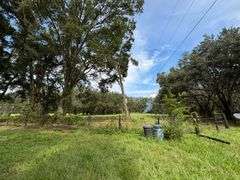 20 Acres of Agricultural land w/ Mobile Home: Levy County, FL