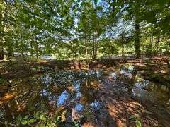 Vacant Residential Lot (Lake Oconee): White Plains, GA