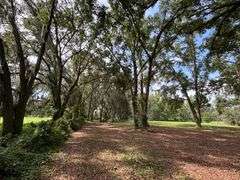 20 Acres of Agricultural land w/ Mobile Home: Levy County, FL