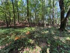 Vacant Residential Lot (Lake Oconee): White Plains, GA