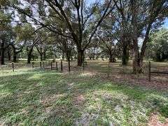 20 Acres of Agricultural land w/ Mobile Home: Levy County, FL