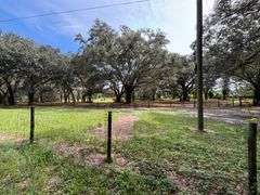 20 Acres of Agricultural land w/ Mobile Home: Levy County, FL