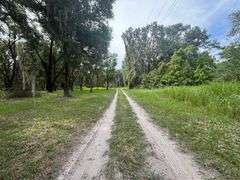 20 Acres of Agricultural land w/ Mobile Home: Levy County, FL