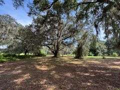 20 Acres of Agricultural land w/ Mobile Home: Levy County, FL