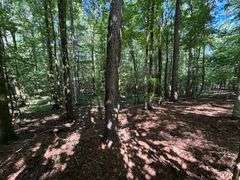 Vacant Residential Lot (Lake Oconee): White Plains, GA