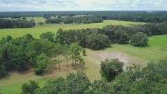20 Acres of Agricultural land w/ Mobile Home: Levy County, FL