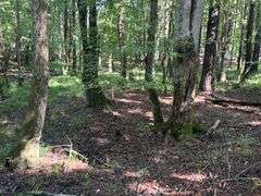 Vacant Residential Lot (Lake Oconee): White Plains, GA