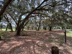 20 Acres of Agricultural land w/ Mobile Home: Levy County, FL
