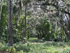 20 Acres of Agricultural land w/ Mobile Home: Levy County, FL