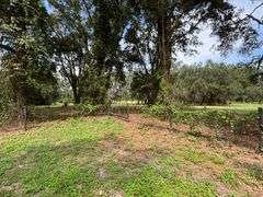 20 Acres of Agricultural land w/ Mobile Home: Levy County, FL
