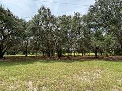 20 Acres of Agricultural land w/ Mobile Home: Levy County, FL