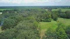 20 Acres of Agricultural land w/ Mobile Home: Levy County, FL