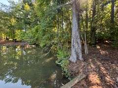 Vacant Residential Lot (Lake Oconee): White Plains, GA