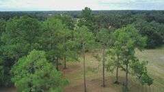 20 Acres of Agricultural land w/ Mobile Home: Levy County, FL