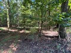 Vacant Residential Lot (Lake Oconee): White Plains, GA