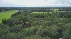20 Acres of Agricultural land w/ Mobile Home: Levy County, FL