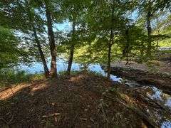 Vacant Residential Lot (Lake Oconee): White Plains, GA