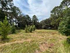 20 Acres of Agricultural land w/ Mobile Home: Levy County, FL