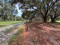 20 Acres of Agricultural land w/ Mobile Home: Levy County, FL