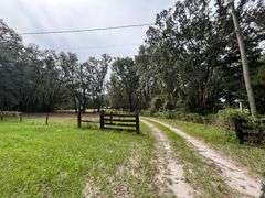 20 Acres of Agricultural land w/ Mobile Home: Levy County, FL