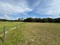 20 Acres of Agricultural land w/ Mobile Home: Levy County, FL