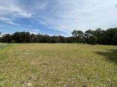 20 Acres of Agricultural land w/ Mobile Home: Levy County, FL