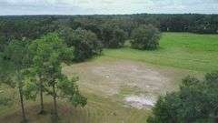 20 Acres of Agricultural land w/ Mobile Home: Levy County, FL